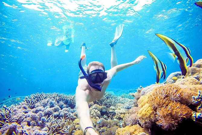 Snorkeling Nusa Penida and Island Tour Package - Hotel pickup and private van time on Nusa Penida