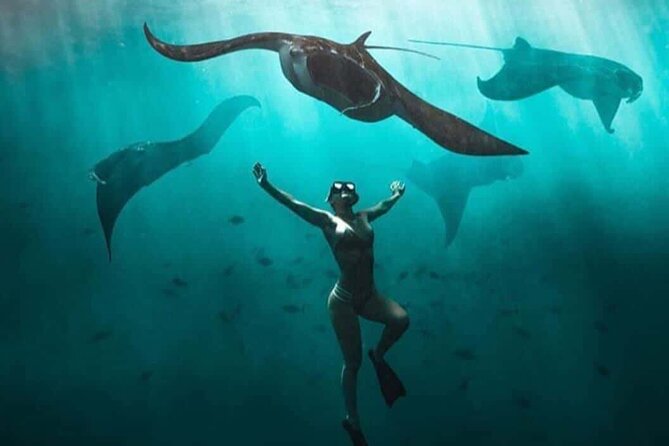 Snorkeling Nusa Penida and Island Tour Package - Snorkeling at Manta Point, Wall Point, and Mangrove Point