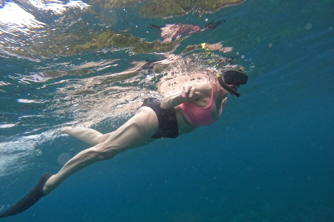 Snorkeling Nusa Penida and Island Tour Package - What to watch for, based on real feedback