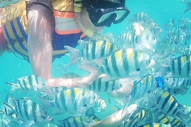 Snorkeling Tour In Gili Islands Pick Up From Lombok Or Gili - Key things to know before you go
