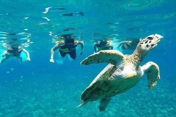 Snorkeling Tour In Gili Islands Pick Up From Lombok Or Gili - Snorkel the Gili Islands From Lombok, Not Just On Gili