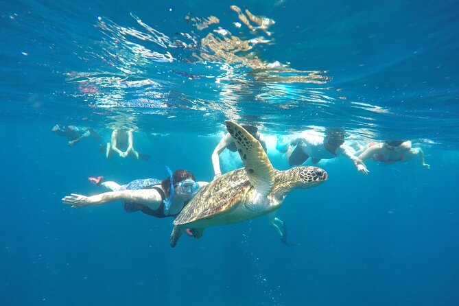 Snorkeling Tour In Gili Islands Pick Up From Lombok Or Gili - Gear Included, Plus How to Snorkel Smarter for Turtles