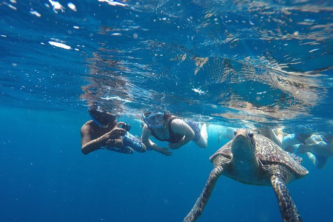 Snorkeling Tour In Gili Trawangan, Gili Meno And Gili Air Pick Up From Bali - Pickup From Kuta, Speedboat to Lombok, and the Timing Reality