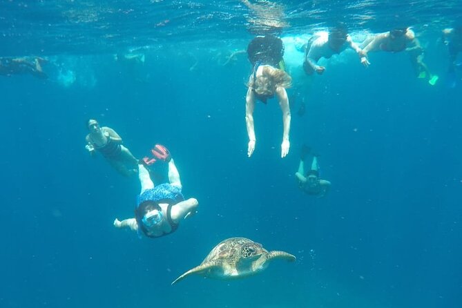 Snorkeling Tour In Gili Trawangan, Gili Meno And Gili Air Pick Up From Bali - Gear, GoPro Photos, and What to Bring