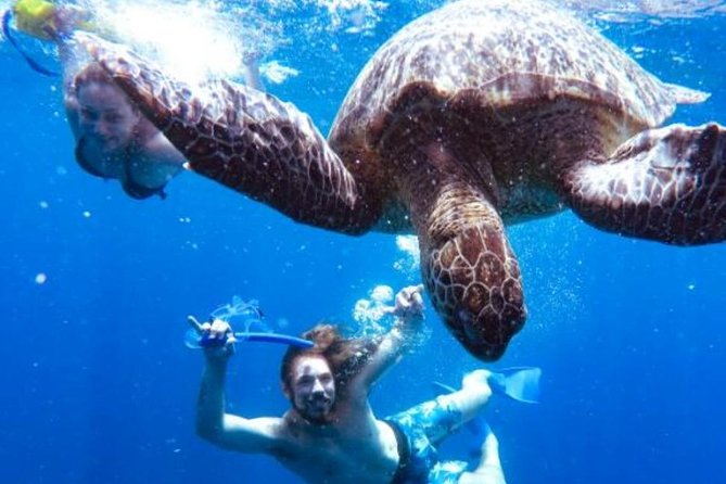 Snorkeling Tour In Gili Trawangan, Gili Meno And Gili Air Pick Up From Bali - A Snorkeling Day That Beats Bali’s Busy Pace