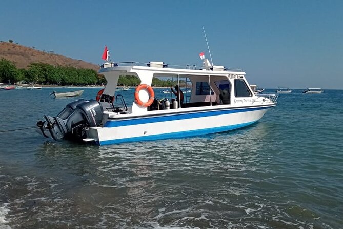 Snorkeling Trip to Menjangan Island - Lunch onboard: included, practical, and waste-aware