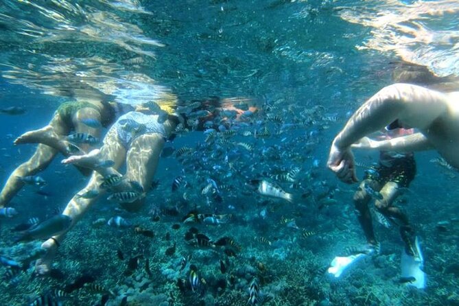 Snorkeling Trips with Manta Ray from Nusa Lembongan - Photos, Showers, Lockers, and the Stuff That Makes the Day Work
