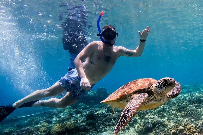 Snorkeling with turtle and statue in Gilis - How Long It Takes, and When Morning vs Afternoon Makes Sense