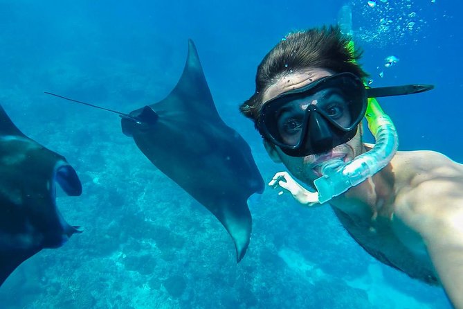 Snorkelling in Nusa Penida - Manta Point - Nusa Penida Snorkeling, With Manta Point as the Main Event