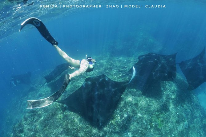 Snorkelling in Nusa Penida - Manta Point - The Conservation Fee, Cash Planning, and What You Should Expect to Pay