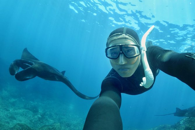 Snorkelling in Nusa Penida - Manta Point - Pickup, Meet Point, and What the Start of the Day Feels Like