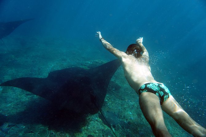 Snorkelling with Manta Rays at Nusa Penida and Lembongan - Stop 1 at Nusa Penida: why Manta Point is the anchor