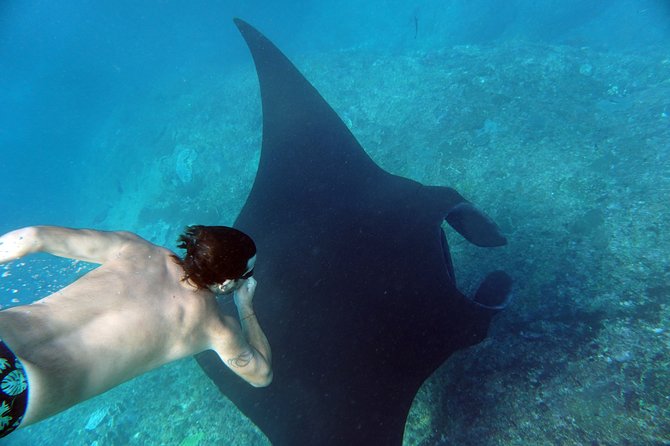 Snorkelling with Manta Rays at Nusa Penida and Lembongan - Stop 2 depends on weather: Crystal Bay or Nusa Lembongan