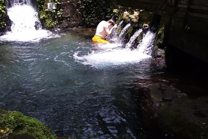 Soul Purification at Pura Mengening in Bali - Price and value: is $45 worth it?