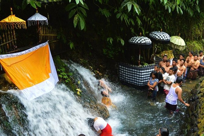 Spiritual Purification and Local Healer Visit Tour (ALL INCLUDED) - Ubud Pick-Up and How the 4 to 7 Hour Rhythm Works