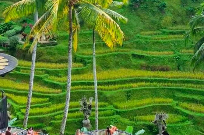 Sunset Sailboat Dinner Cruise & Private Ubud highlights Tour. - Tegalalang Rice Terraces: where the day turns scenic and iconic (about 1 hour)