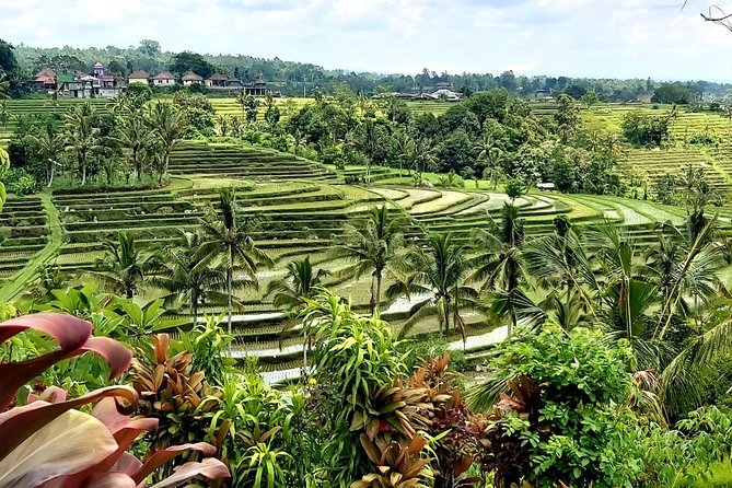 Tanah Lot and Jatiluwih Unesco Rice Terrace Private Tour - Jatiluwih rice terraces at 700 m: the UNESCO view that takes time