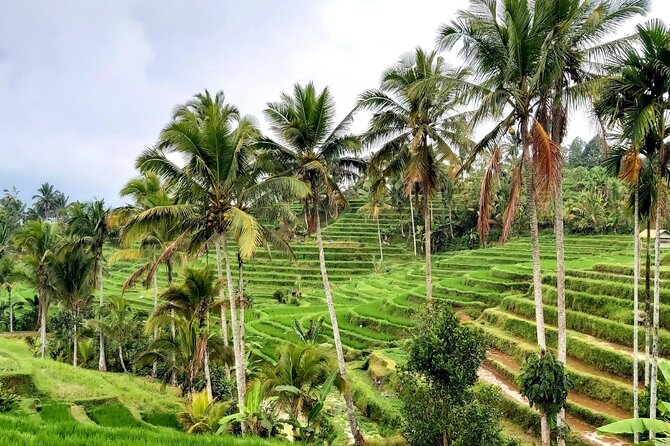 Tanah Lot and North Bali Private Tour - All inclusive - Who this tour suits best, and who might prefer something else