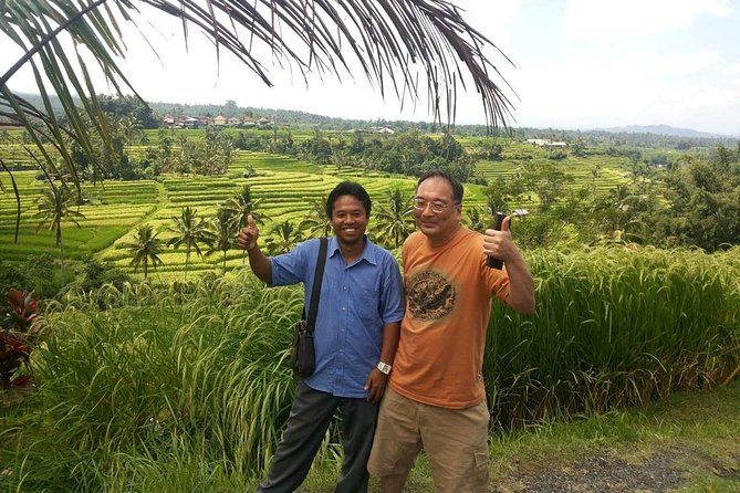 Tanah Lot and North Bali Private Tour - All inclusive - Jatiluwih Green Land: UNESCO rice terraces at 700 m for big panoramas