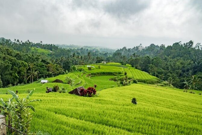 Tanah Lot and North Bali Tour: Scenic Journey - Jatiluwih rice terraces and lunch in the UNESCO zone