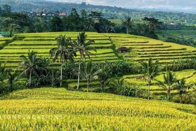 Tanah Lot, Jatiluwih Rice Terrace and Waterfall Day Tour - How the 8-hour loop works from Ubud