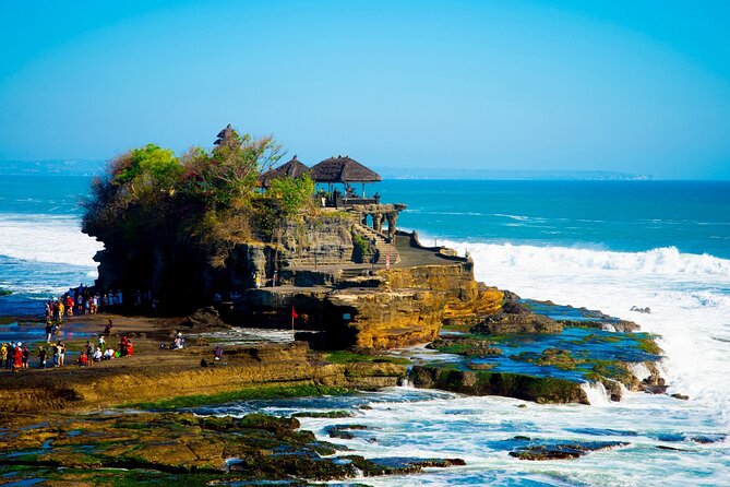 Tanah Lot, Jatiluwih Rice Terrace and Waterfall Day Tour - Jatiluwih Rice Terrace: UNESCO views you can actually walk