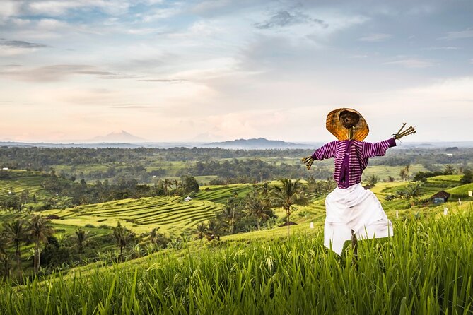 Tanah Lot, Jatiluwih Rice Terrace and Waterfall Day Tour - Ulun Danu Beratan Temple: Lake Beratan serenity and mountain views