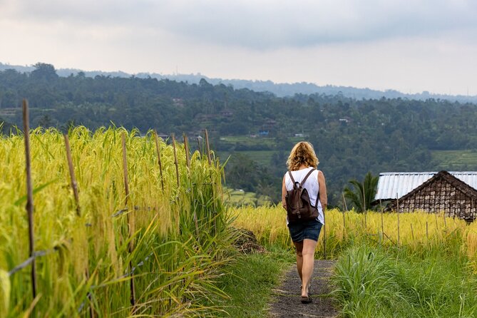 Tanah Lot, Jatiluwih Rice Terrace and Waterfall Day Tour - Price and value: what you pay, what you still owe
