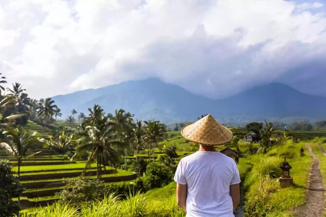 Tanah Lot, Jatiluwih Rice Terrace and Waterfall Day Tour - Timing, crowds, and how to get the most out of your hour