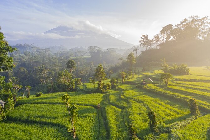 Tanah Lot - Jatiluwih (UNESCO) - Beratan lake -Hidden hill (Wanagiri)-FREE WI-FI - Jatiluwih UNESCO rice terraces: viewpoint time, not just photo time