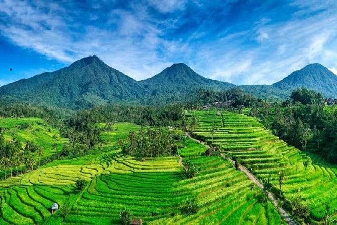 Tanah Lot - Jatiluwih (UNESCO) - Beratan lake -Hidden hill (Wanagiri)-FREE WI-FI - Taman Ayun Temple in Mengwi: ancestral spirits in a garden setting
