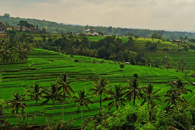 Tanah Lot Tour: Discover Bali’s Iconic Temple and Stunning Views - Stop 2: Tanah Lot Temple at the rock and tide line