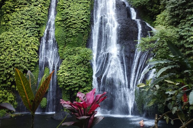 Tanah Lot Tour: Discover Bali’s Iconic Temple and Stunning Views - Stop 4: Yeh Ho Waterfall, rice terraces, and tropical forest calm