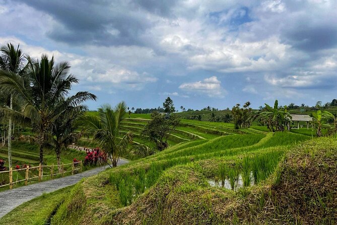 Tanah Lot - Ulun Danu Beratan Temple - Scenic Countryside Tour - Why this Bali loop feels efficient (and not rushed)