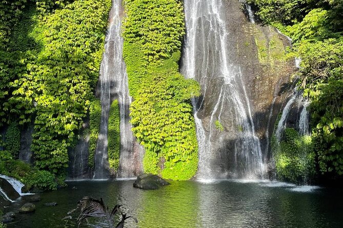 Tanah Lot - Ulun Danu Beratan Temple - Scenic Countryside Tour - The guide factor: professionalism, flexibility, and photo help