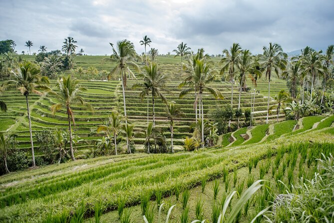 Tanah Lot & UNESCO Heritage Small Group Tour - Price and Entrance Fees, The Value Math You Need