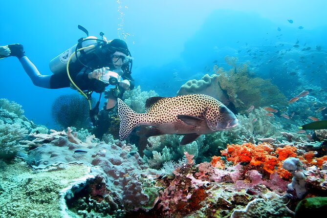Tanjung Benoa Water Sports: All Inclusive Bali Activities - Who This Watersports Combo Suits Best