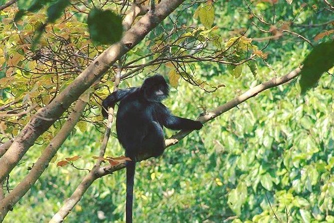 Tete Batu Tour (Culture, Rice Terraces and Waterfalls) - Where Tetebatu fits into Lombok, and why it feels personal