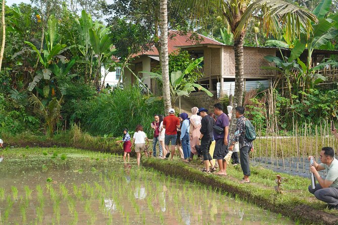 Tete Batu Tour (Culture, Rice Terraces and Waterfalls) - Price and value: what you pay for, and what you get