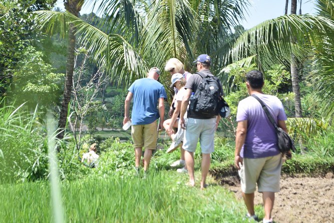 Tetebatu Walking Tour - Rice Terraces, Waterfall & Monkey Forest - Tetebatu feels local, not staged
