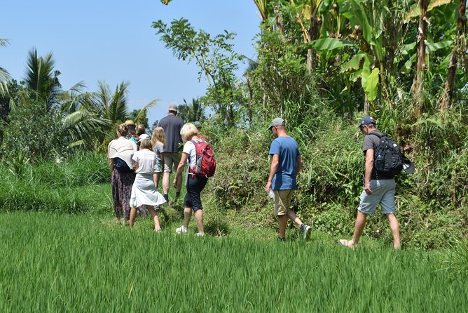 Tetebatu Walking Tour - Rice Terraces, Waterfall & Monkey Forest - Local houses, coffee breaks, and lunch that feels earned