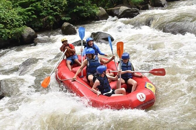 The Best Ayung River Rafting Adventure in Ubud - Price and What You Actually Get for About $50