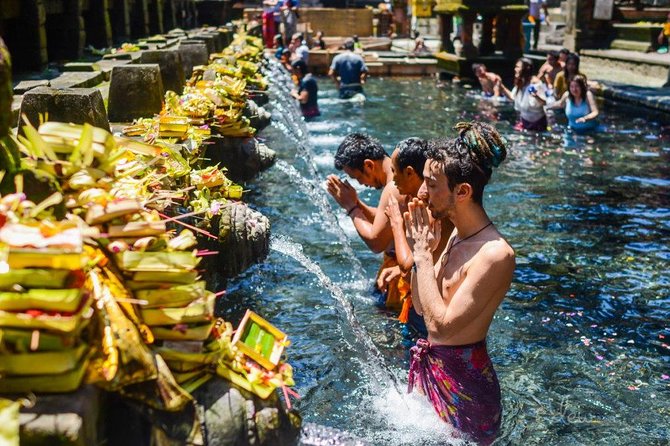 The Best of Ubud Tour and Jungle Swing - Key highlights to know before you go