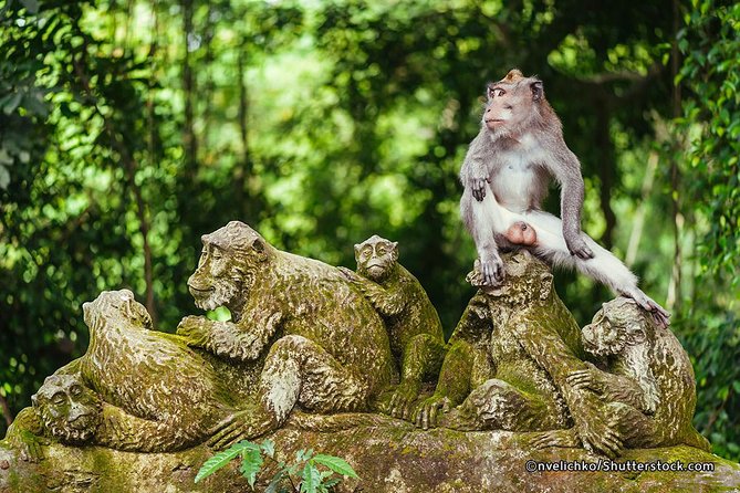 The Best of Ubud Tour and Jungle Swing - Stop 1 at Monkey Forest: what to expect at Sacred Monkey Forest Sanctuary