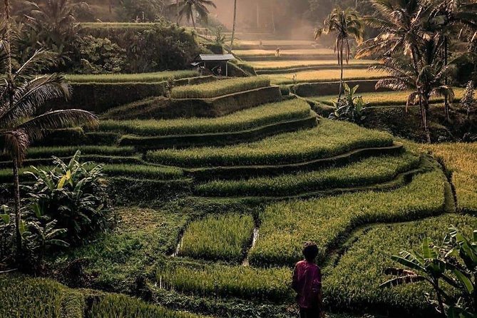The Gates of Heavan - Ubud Jungle Swing & Waterfall Tour - Tegalalang Rice Terrace and Subak irrigation views