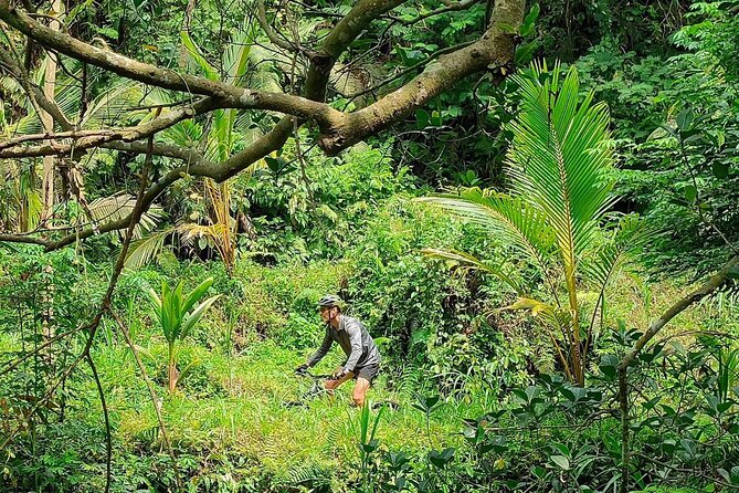 The Volcano Trail – Epic Volcano Cycling Adventure - Who should book this ride, and who might feel mismatched