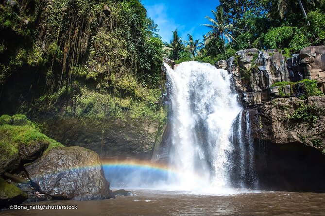 Three Main spot Bali Waterfall with Swing - The real value: your guide, not just the route