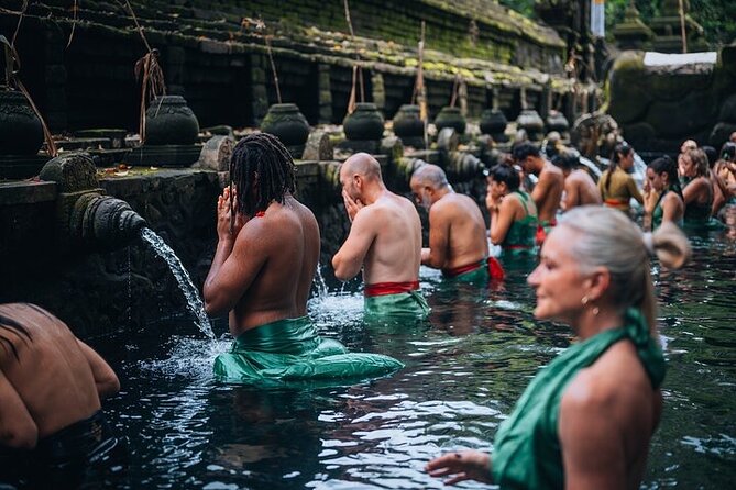 Top Ubud Attractions: Private Full-Day Guided Tour - Key highlights worth planning around