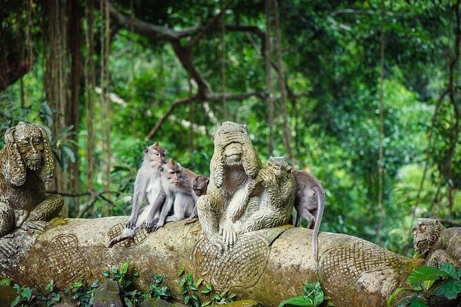 Top Ubud Attractions: Private Full-Day Guided Tour - Sacred Monkey Forest Sanctuary: seeing macaques up close without getting reckless