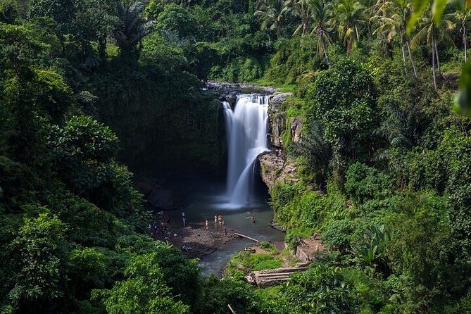 Top Ubud Attractions: Private Full-Day Guided Tour - Tegenungan Waterfall: nature payoff, with a budget reality check